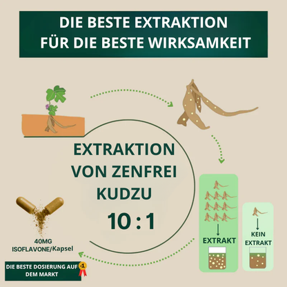 Kudzu Zenfrei – 40 mg Isoflavone – 100 % natürlich